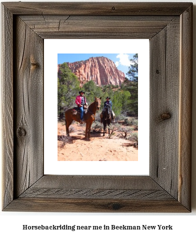 horseback riding near me in Beekman, New York